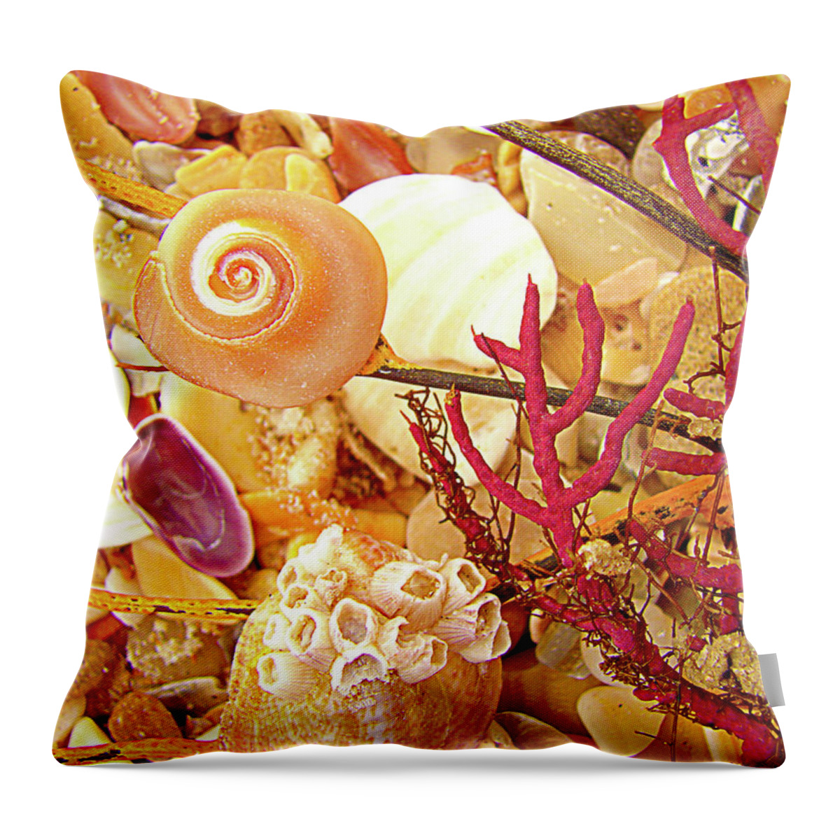 Shells Throw Pillow featuring the photograph See World by Laura Brightwood