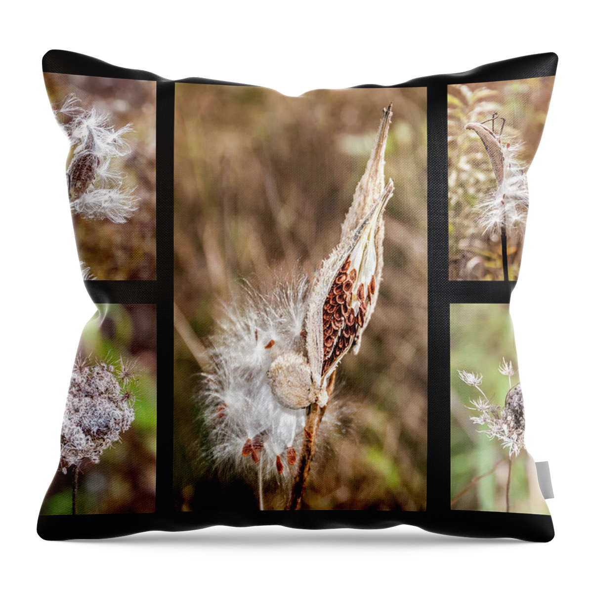 Seed Pods Throw Pillow featuring the photograph Seed Collage by Geraldine Alexander