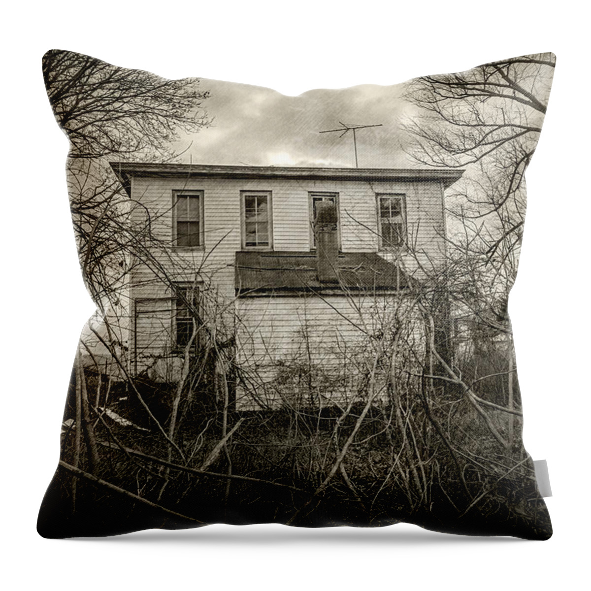 2d Throw Pillow featuring the photograph Seen Better Days by Brian Wallace