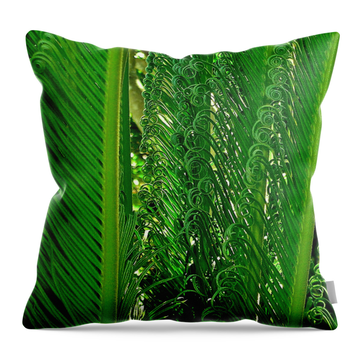 Sego Palm Tree Throw Pillow featuring the photograph Sego Palm by James Temple