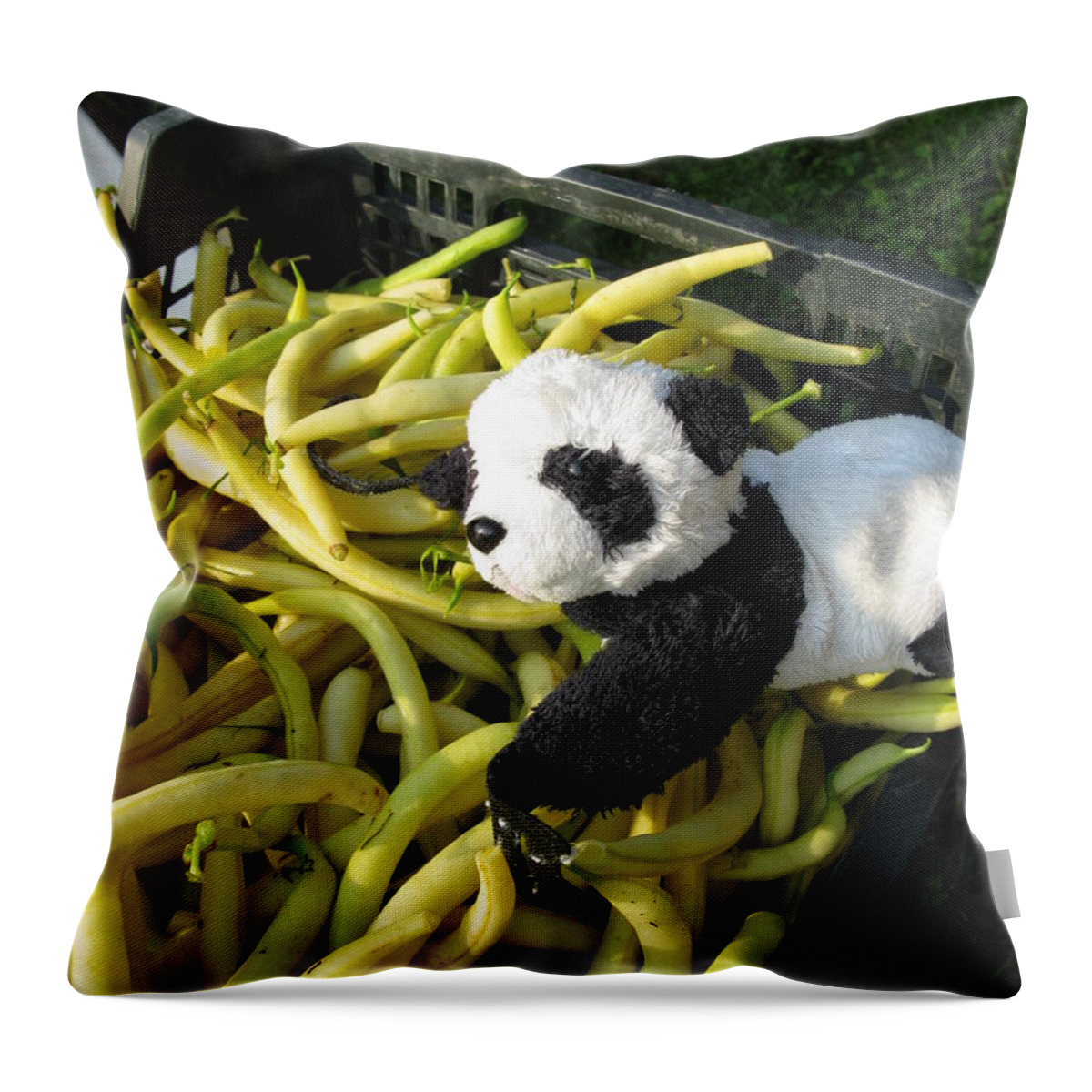 Baby Panda Throw Pillow featuring the photograph Selling beans by Ausra Huntington nee Paulauskaite
