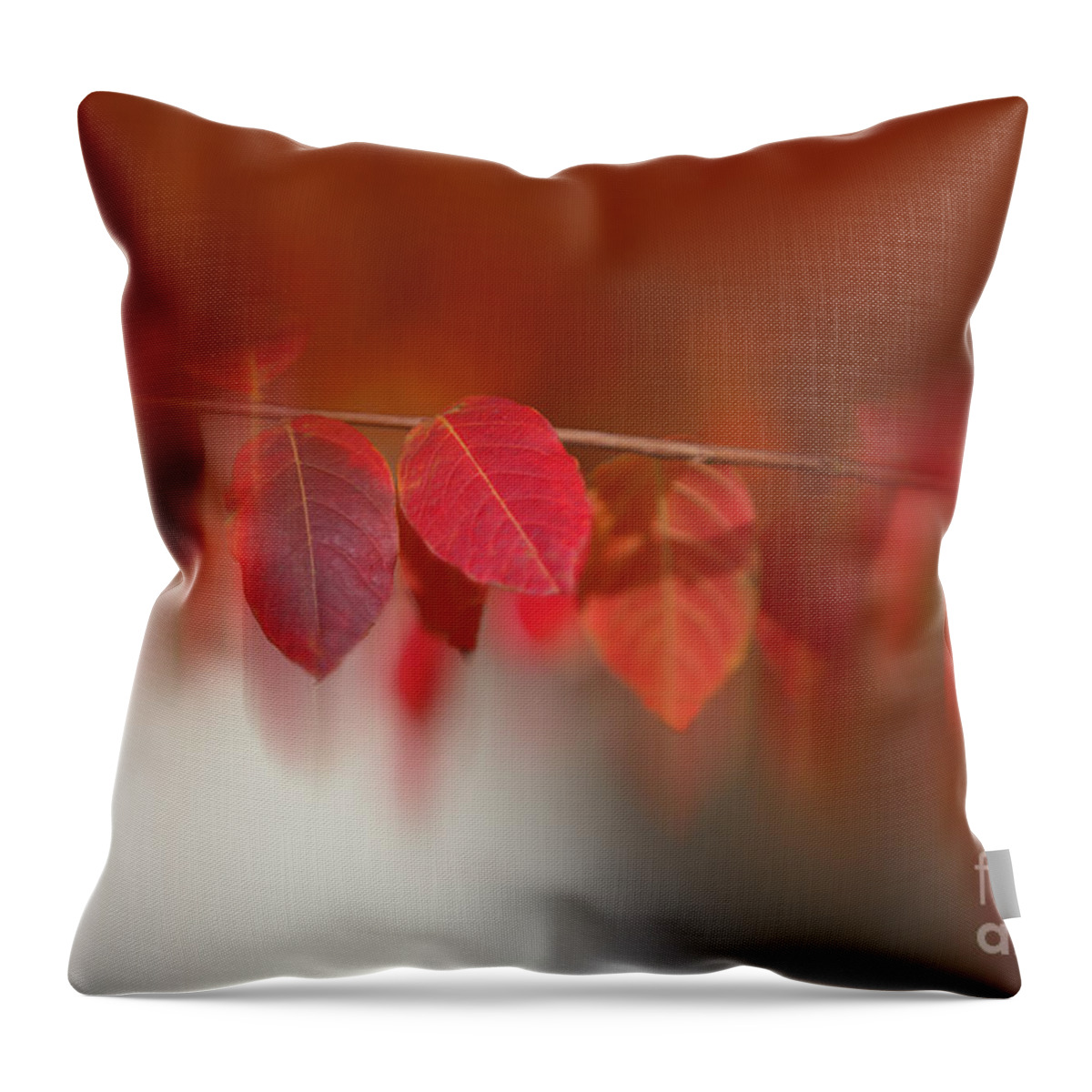 Nature Throw Pillow featuring the photograph Semi Abstract Red Leaves by Linda Phelps