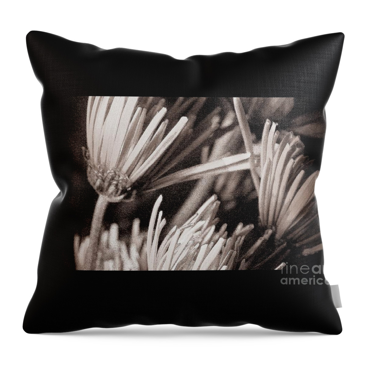 Flowers Throw Pillow featuring the photograph Send me These by Julie Lueders 