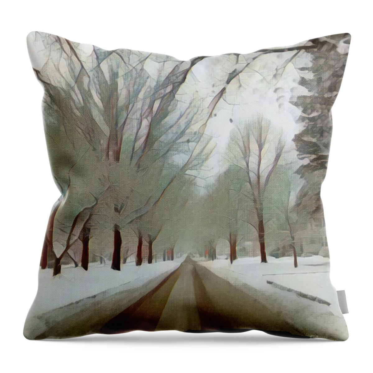 Winter Throw Pillow featuring the photograph Seneca Parkway Winter by Jodie Marie Anne Richardson Traugott     aka jm-ART