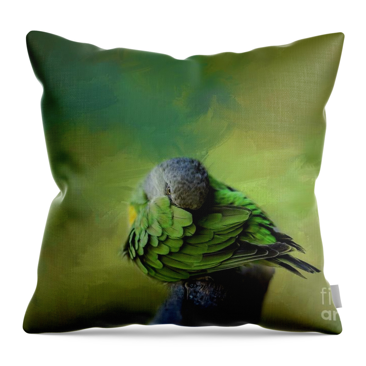 Senegal Parrot Throw Pillow featuring the photograph Senegal Parrot by Eva Lechner