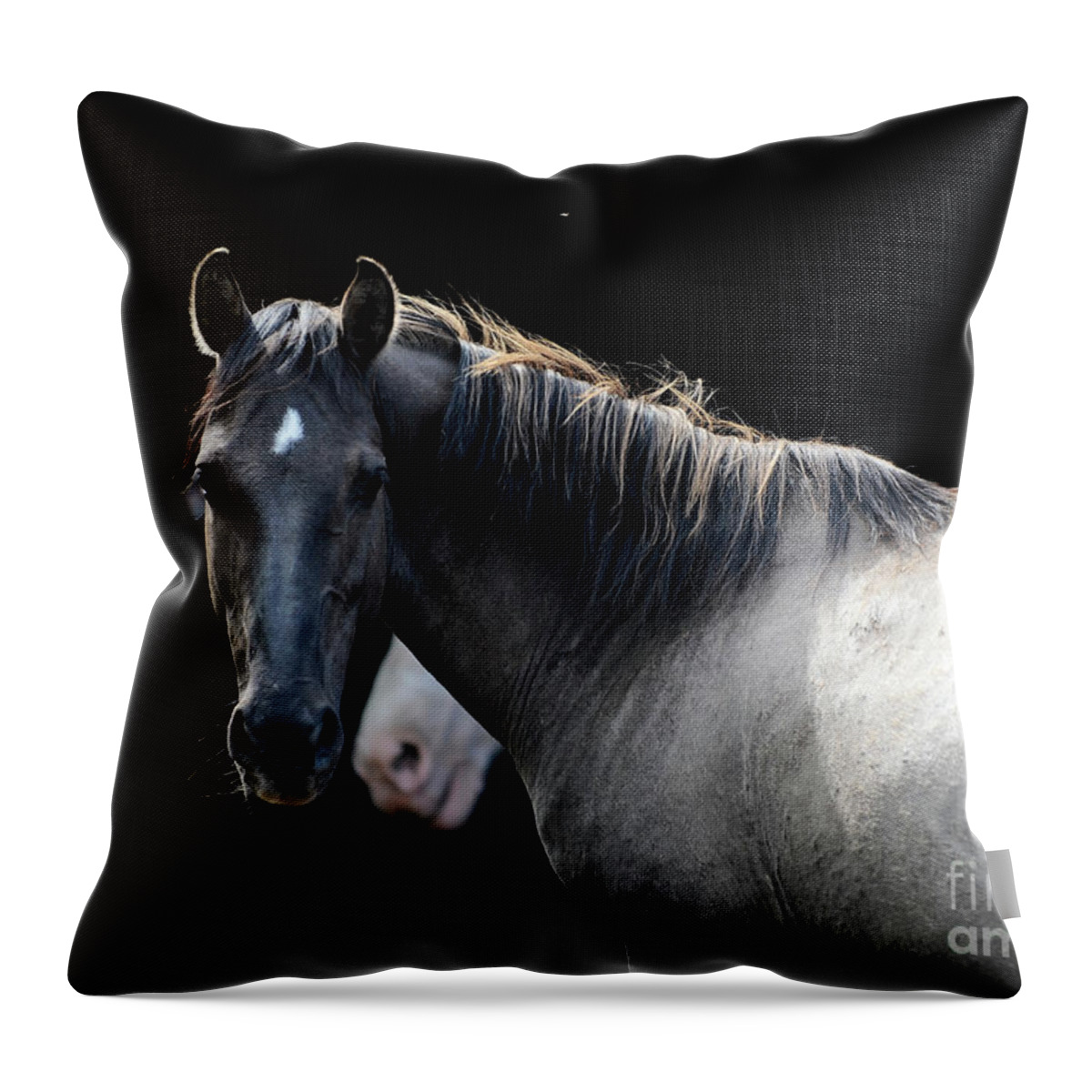 Rosemary Farm Sanctuary Throw Pillow featuring the photograph Senna by Carien Schippers