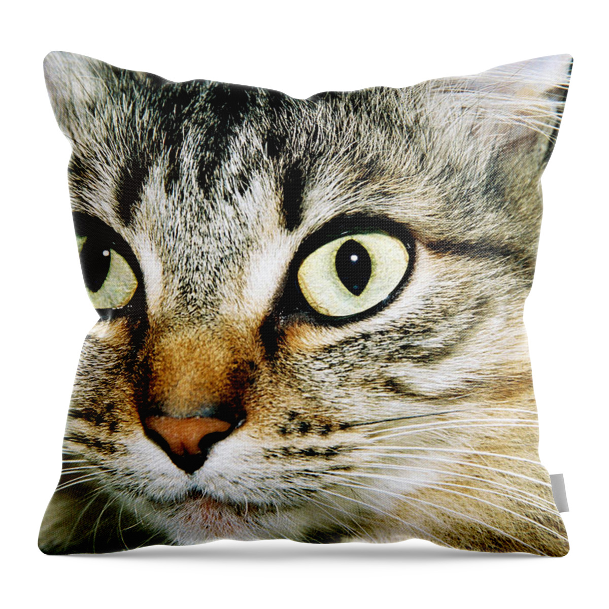Cat Throw Pillow featuring the photograph Senorita Verdita. by Spirit Vision Photography