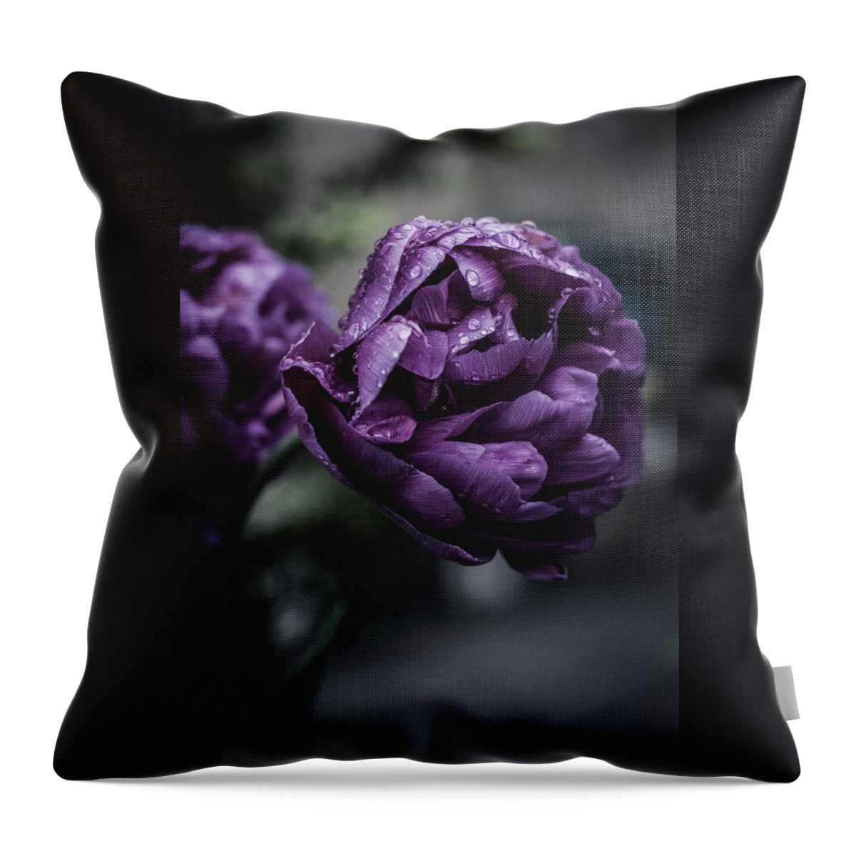 Macro Throw Pillow featuring the photograph Sensational Dreams by Miguel Winterpacht