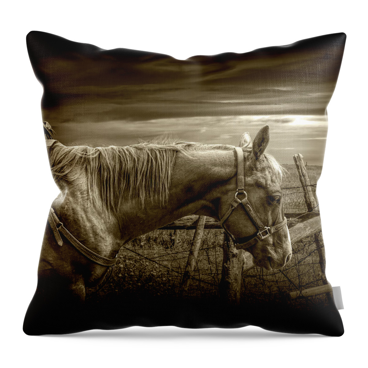 Saddle Throw Pillow featuring the photograph Sepia Tone of Back at the Ranch Saddle Horse by Randall Nyhof