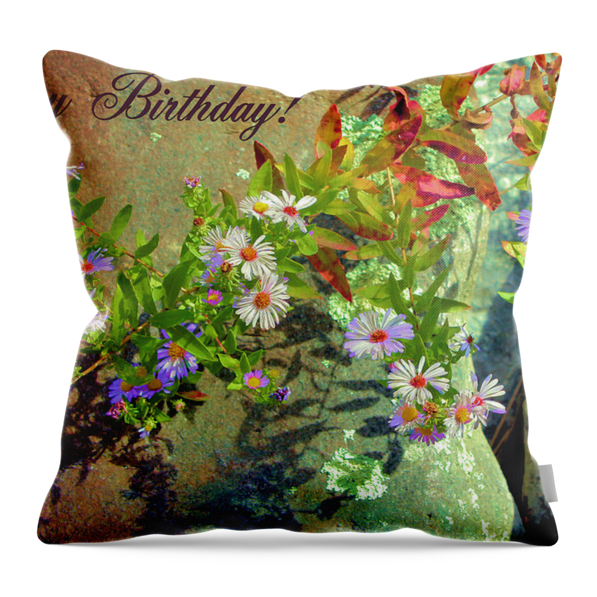 Happy Birthday Throw Pillow featuring the photograph September Birthday Aster by Kristin Elmquist