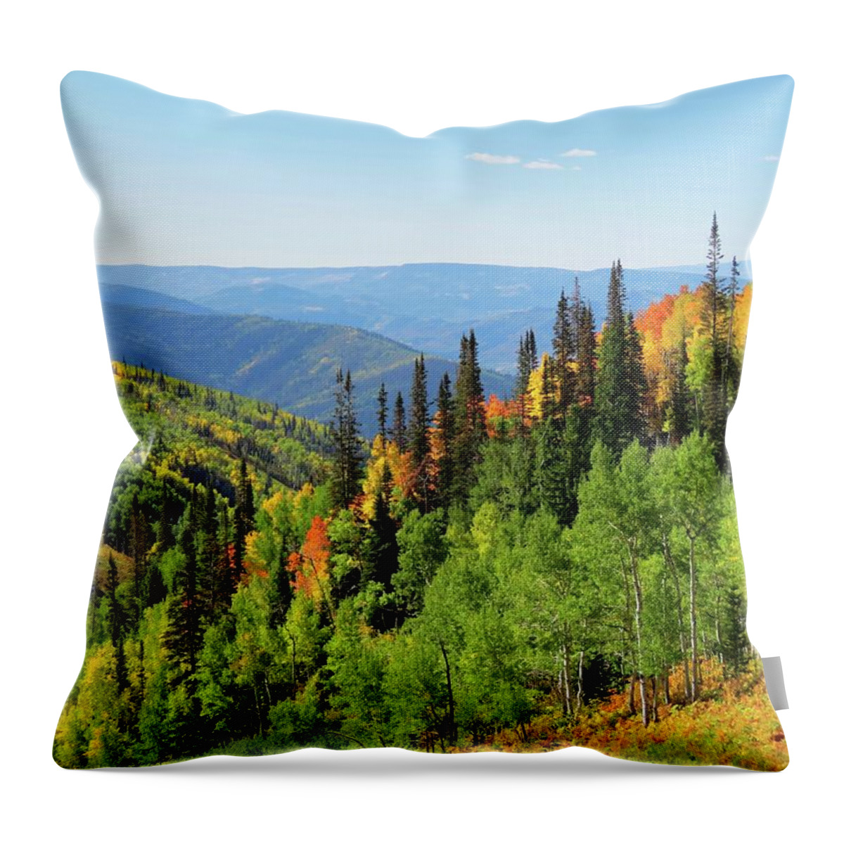 Fall Throw Pillow featuring the photograph September in Steamboat Springs by Connor Beekman