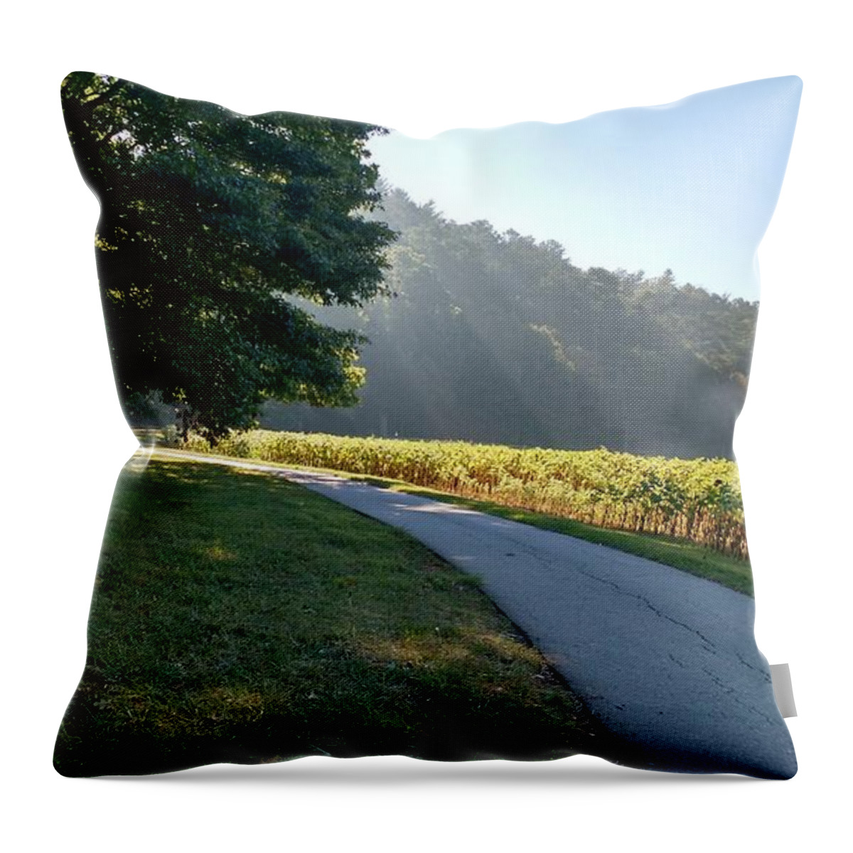 Landscape Throw Pillow featuring the photograph September Morning Walk by Anita Adams