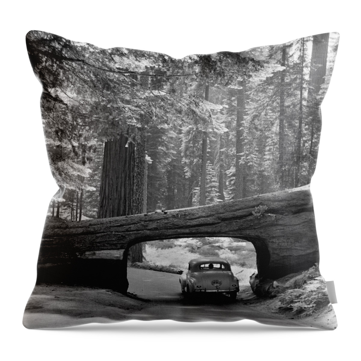 1957 Throw Pillow featuring the photograph Sequoia National Park by Granger
