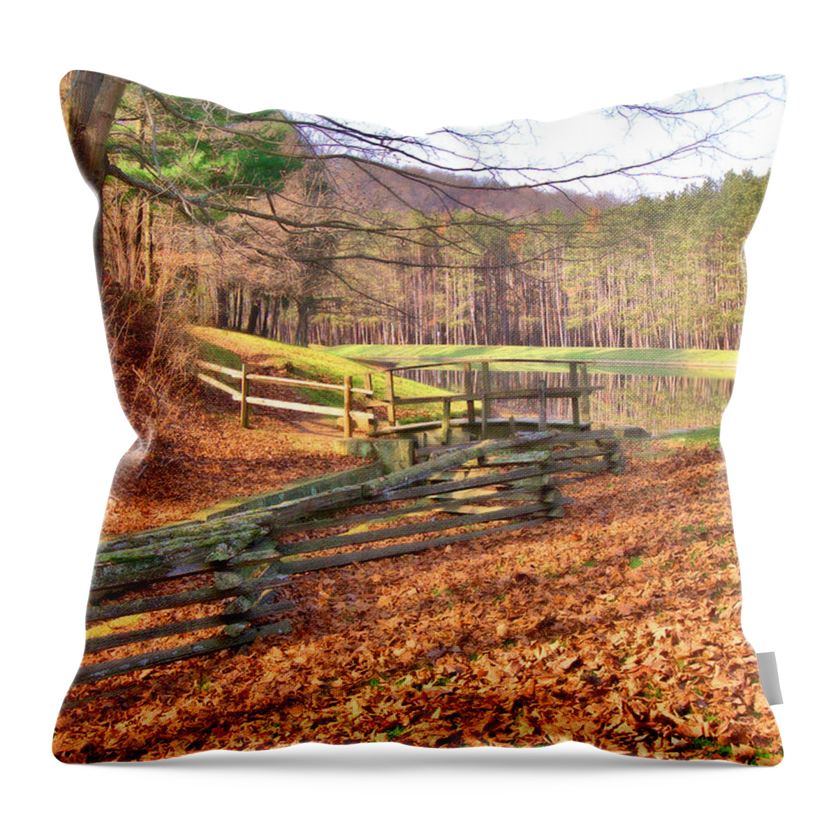 6499 Throw Pillow featuring the photograph Serene Lake by Gordon Elwell