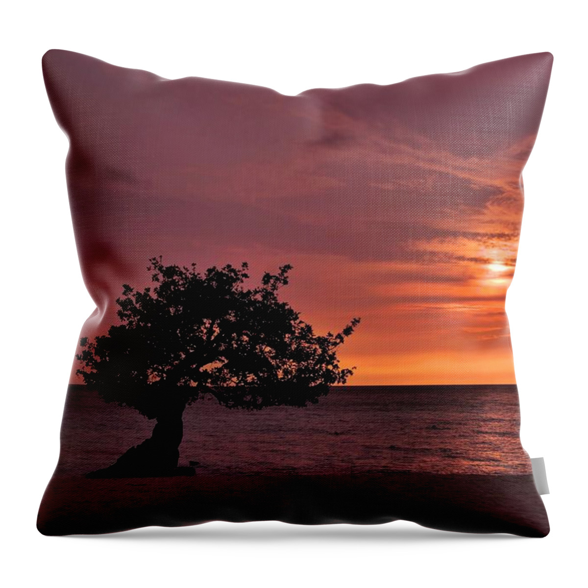 Aruba Throw Pillow featuring the photograph Serenity awaits by DJ Florek
