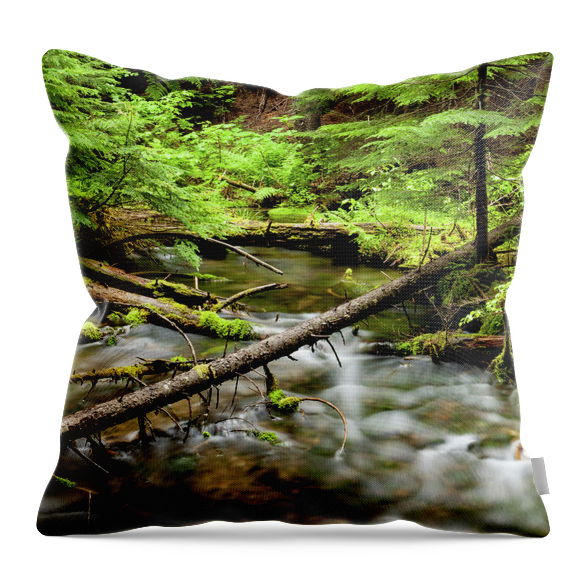 Creek Throw Pillow featuring the photograph Serenity by Fran Riley