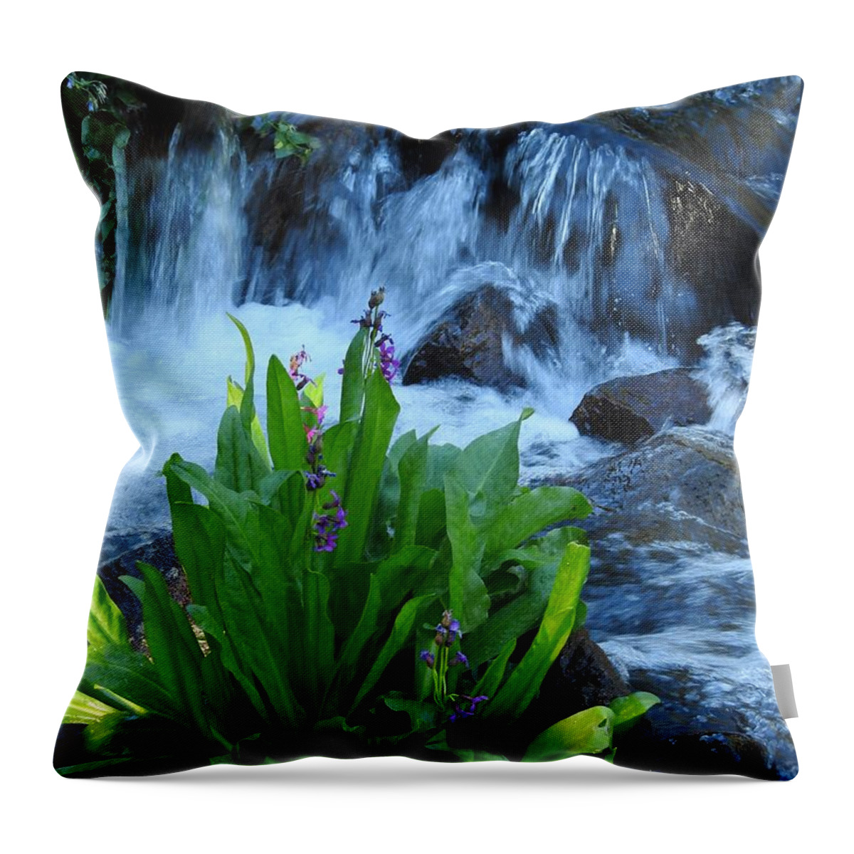 Calm Throw Pillow featuring the photograph Serenity in the Forest by Nicole Belvill
