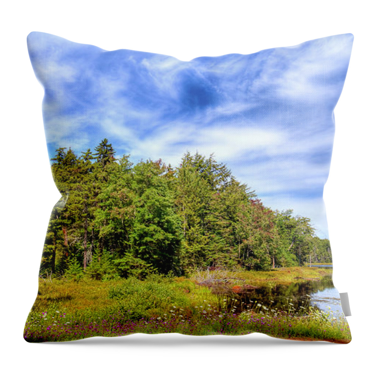 Serenity On Bald Mountain Pond Throw Pillow featuring the photograph Serenity on Bald Mountain Pond by David Patterson