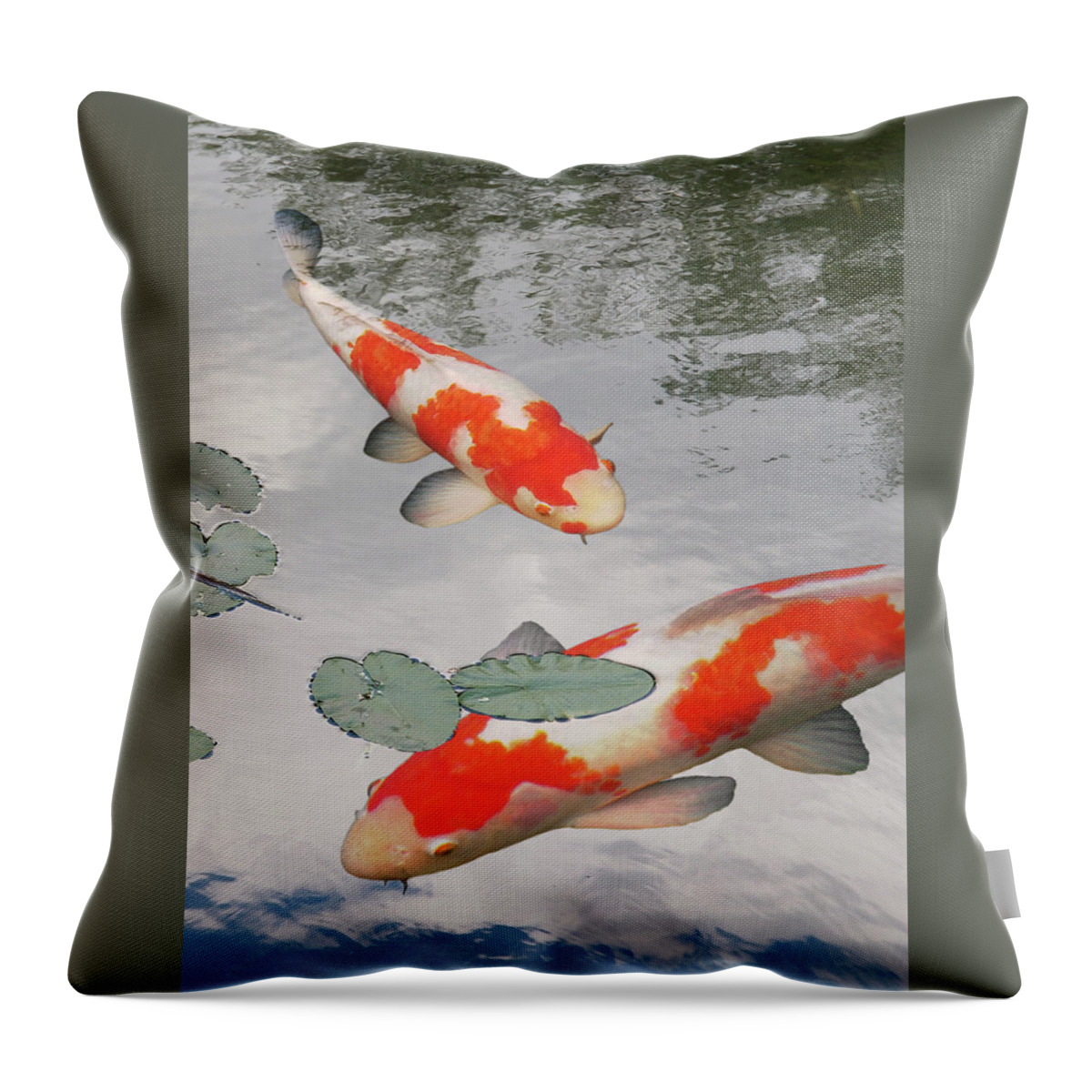 Japanese Koi Fish Throw Pillow featuring the photograph Serenity - Red And White Koi by Gill Billington