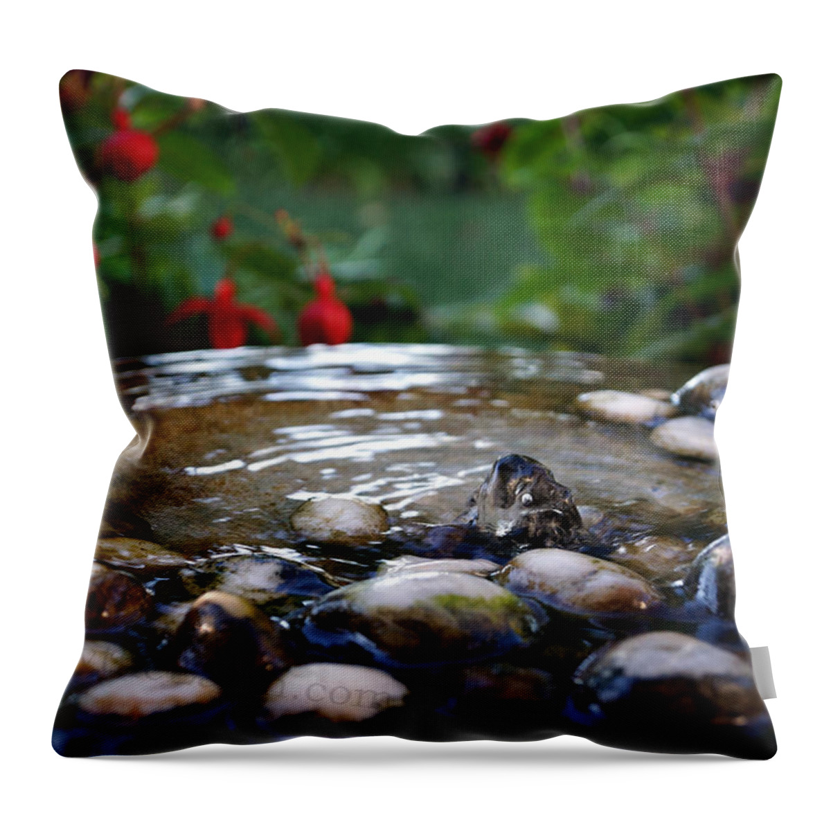  Throw Pillow featuring the photograph Serenity by Todd Hummel