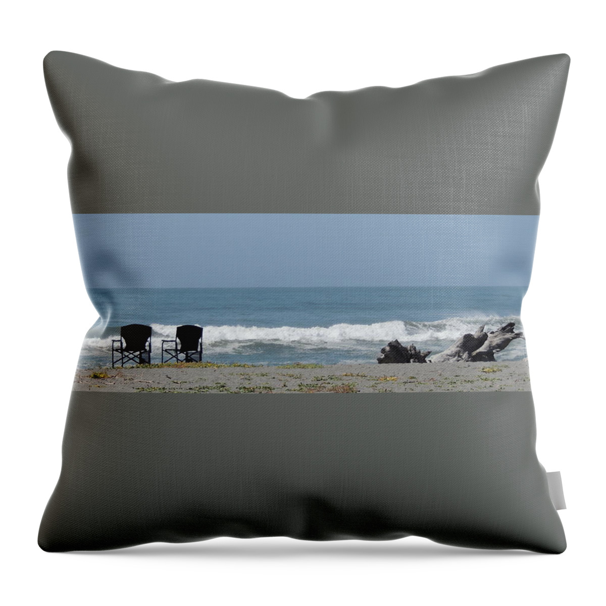 Driftwood Throw Pillow featuring the photograph Serenity by Traci Hallstrom