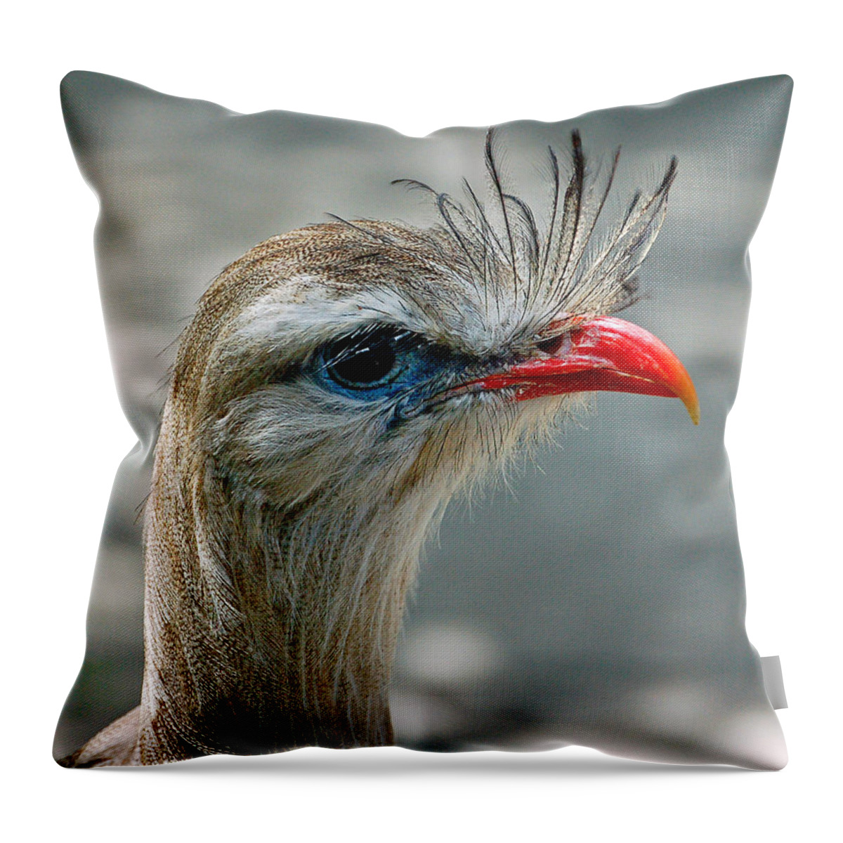 Bird Throw Pillow featuring the photograph Seriema Bird Alert by Donna Proctor