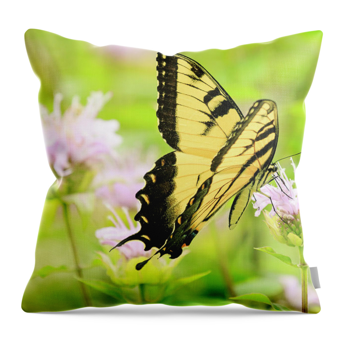Forest Preserve Throw Pillow featuring the photograph Series of Yellow Swallowtail #4 of 6 by Joni Eskridge