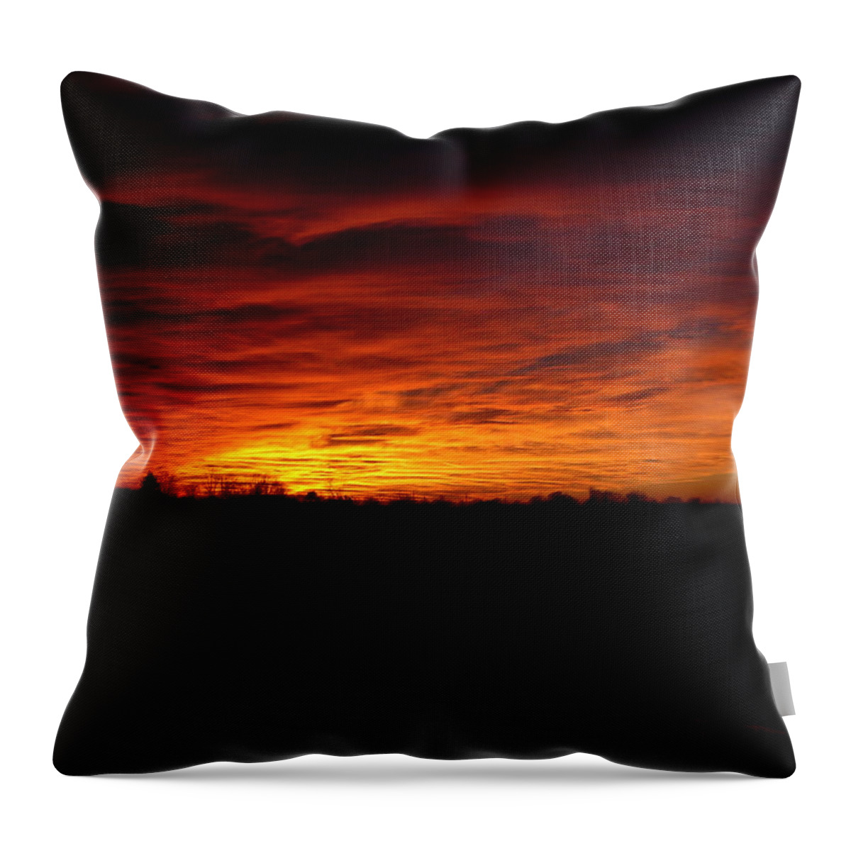 Landscape Throw Pillow featuring the photograph Set The Sun by Traci Goebel
