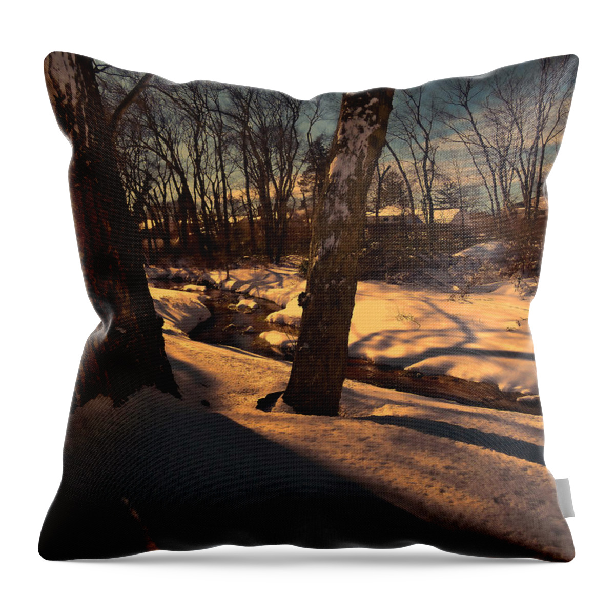 Winter Throw Pillow featuring the photograph Setting sun on a winters day by Mikki Cucuzzo