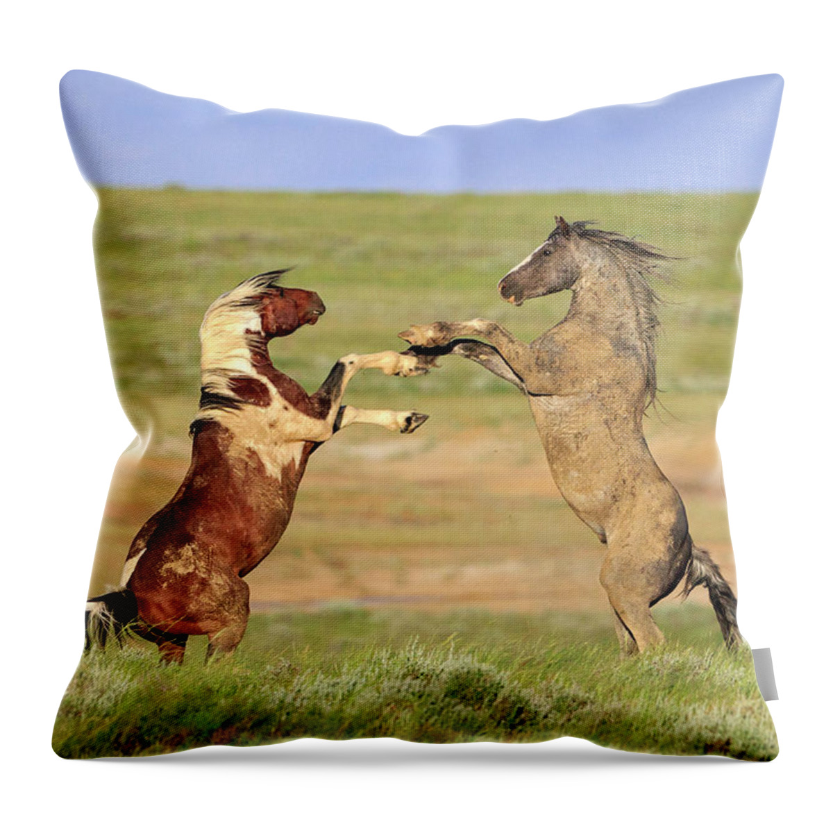 Wild Horses Throw Pillow featuring the photograph Settling Their Differences by Jack Bell