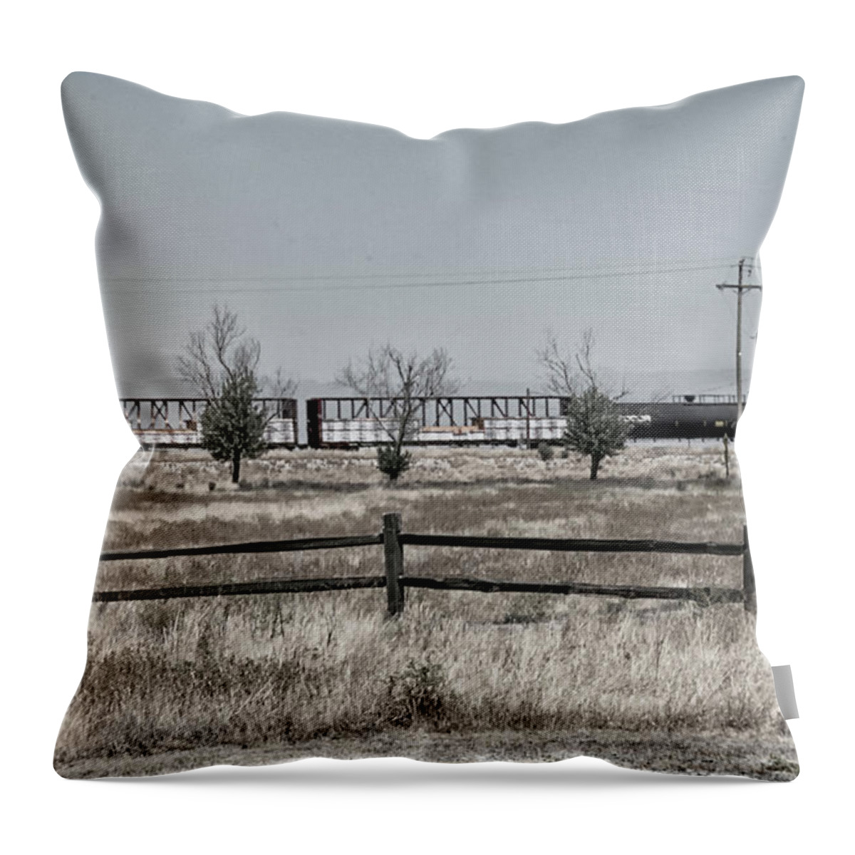 Desert Throw Pillow featuring the photograph Seven Trees and a train by Jessica Levant