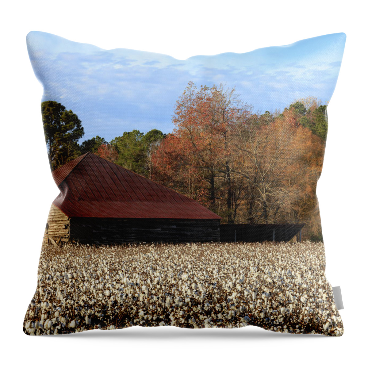 Old Throw Pillow featuring the photograph Shack in the Field by Travis Rogers