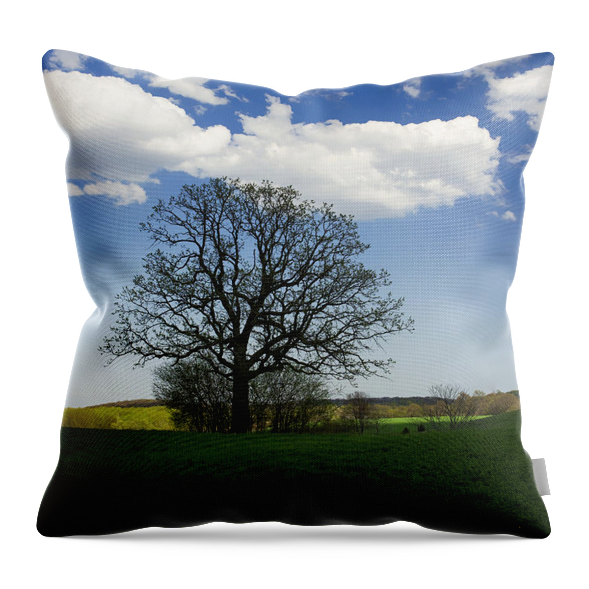  Throw Pillow featuring the photograph Shade by Dan Hefle
