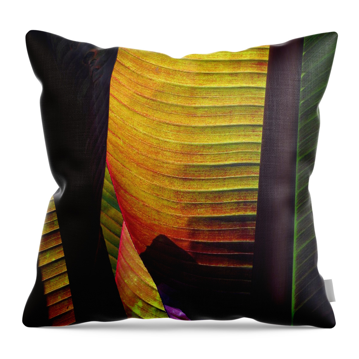 Leaf Throw Pillow featuring the photograph Shade by Deborah Crew-Johnson