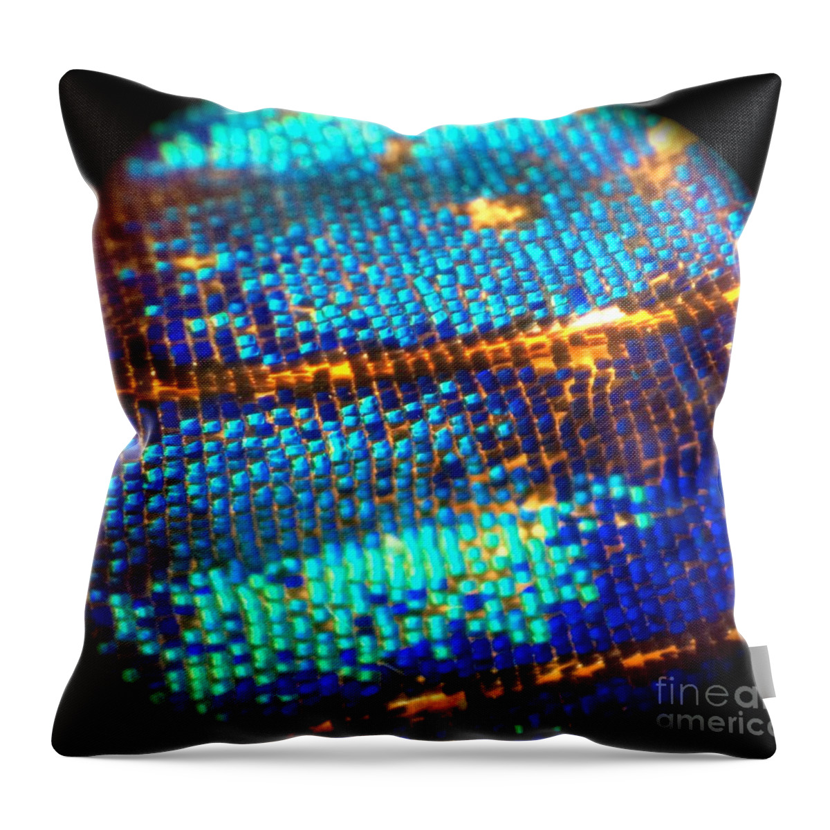Scale Throw Pillow featuring the photograph Shades of Blue by KD Johnson