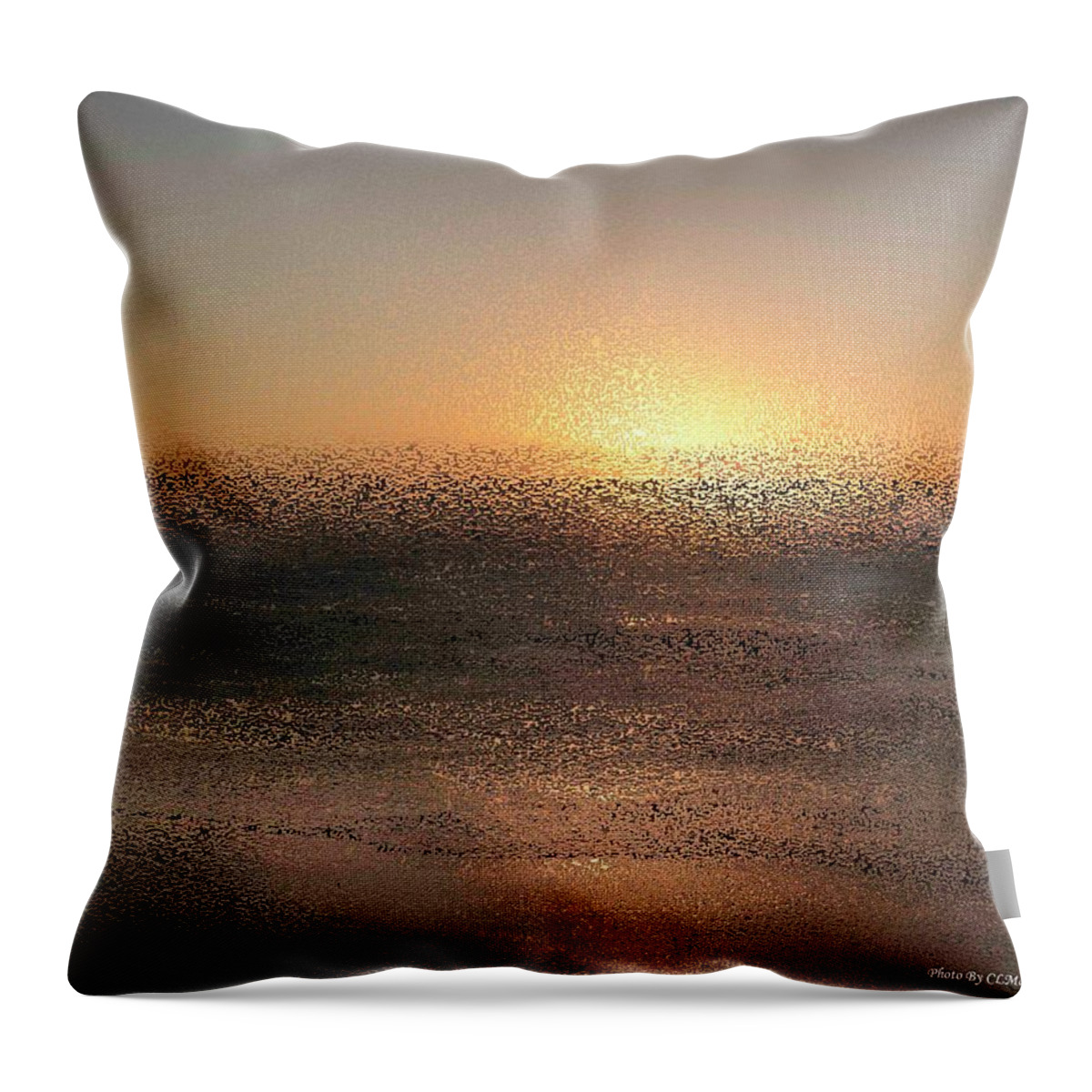 Wall Decor Throw Pillow featuring the photograph Shades of Brown by Coke Mattingly