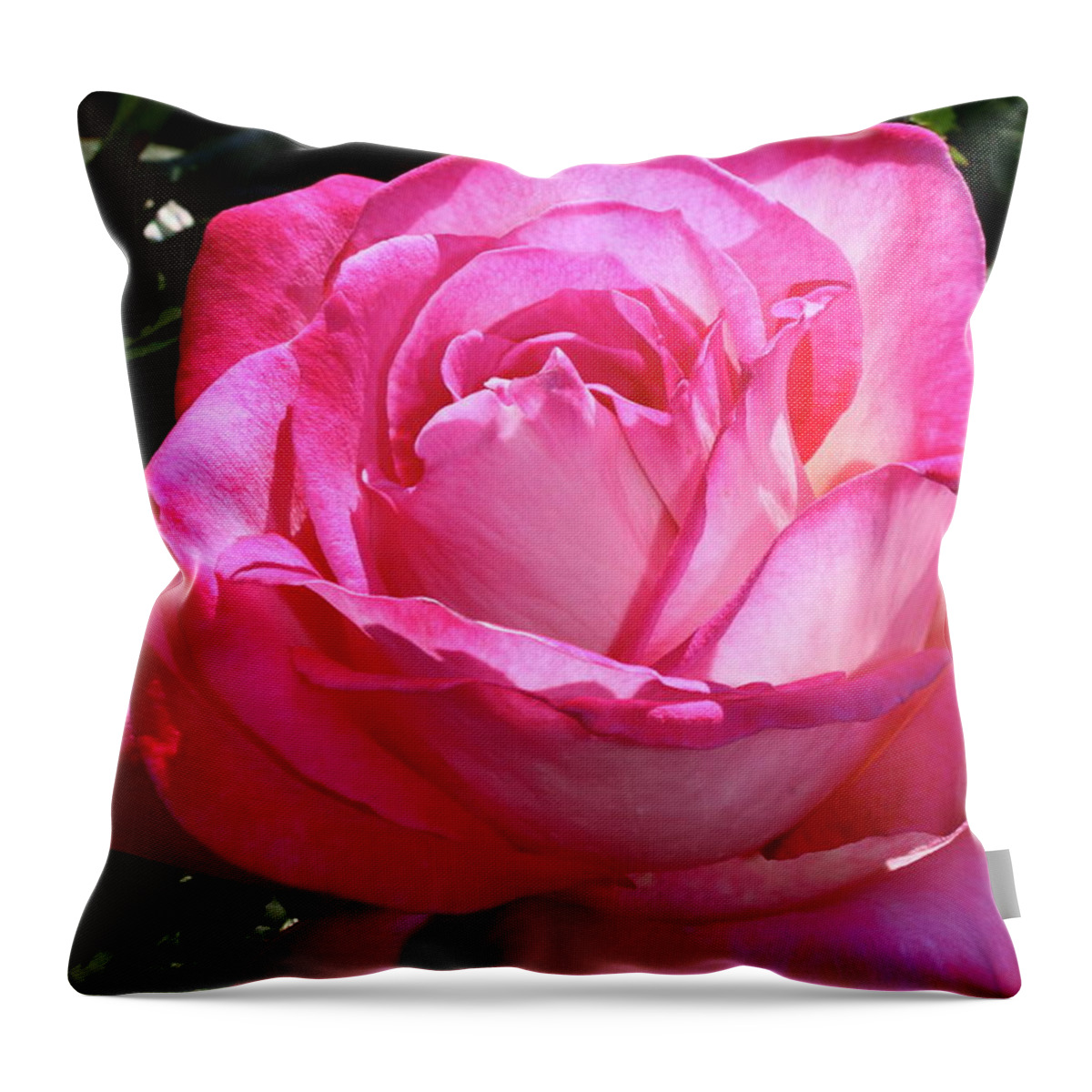 Flower Throw Pillow featuring the photograph Shades Of Pink by Christiane Schulze Art And Photography