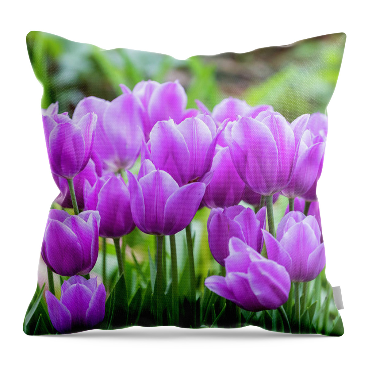 Dallas Aboretum Throw Pillow featuring the photograph Shades of Purple by Ray Silva