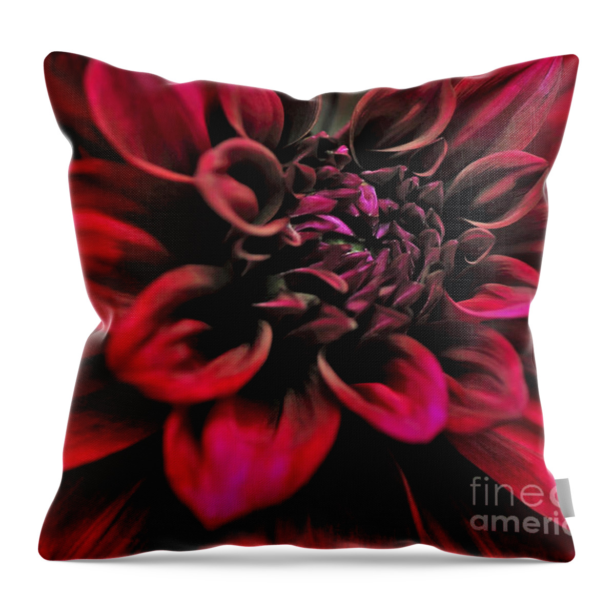 Photography Throw Pillow featuring the photograph Shades of Red - Dahlia by Kaye Menner