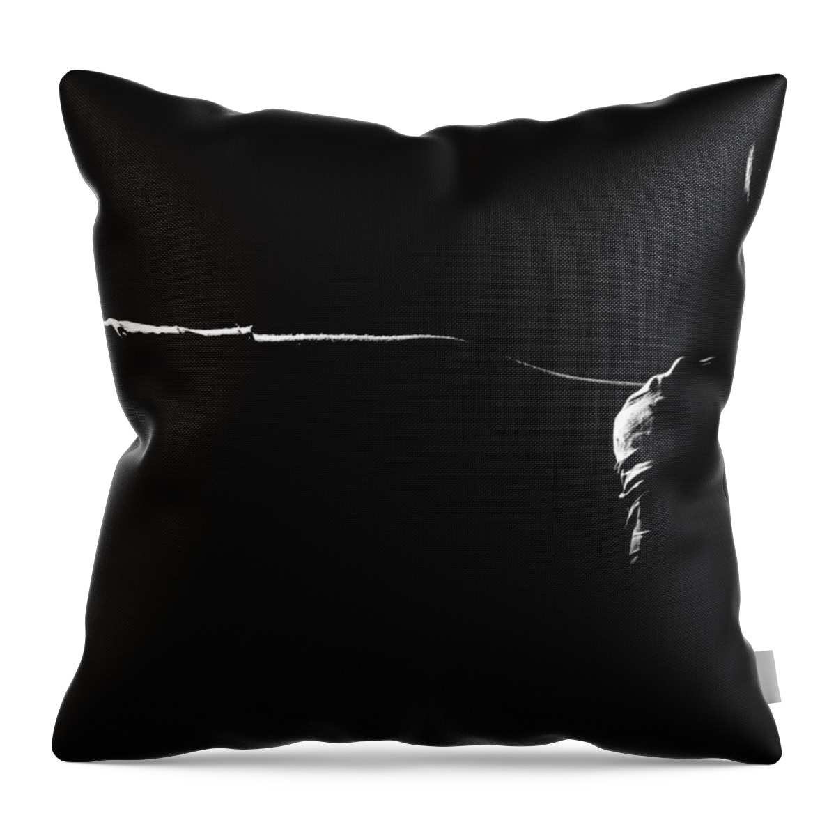 Boxing Throw Pillow featuring the photograph Shadow Boxing by Scott Sawyer