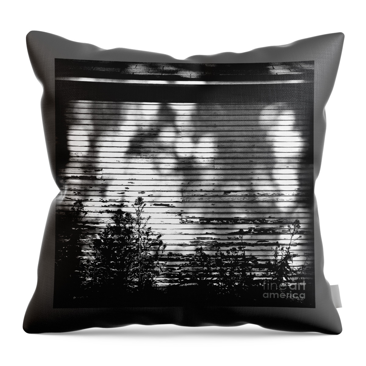 United States Throw Pillow featuring the photograph Shadow Light and Lines by Frank J Casella