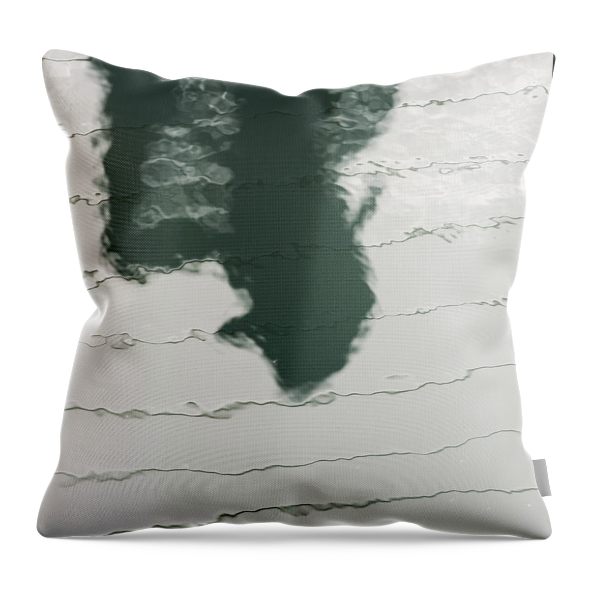 Reflection Throw Pillow featuring the photograph Shadow by Robert Potts