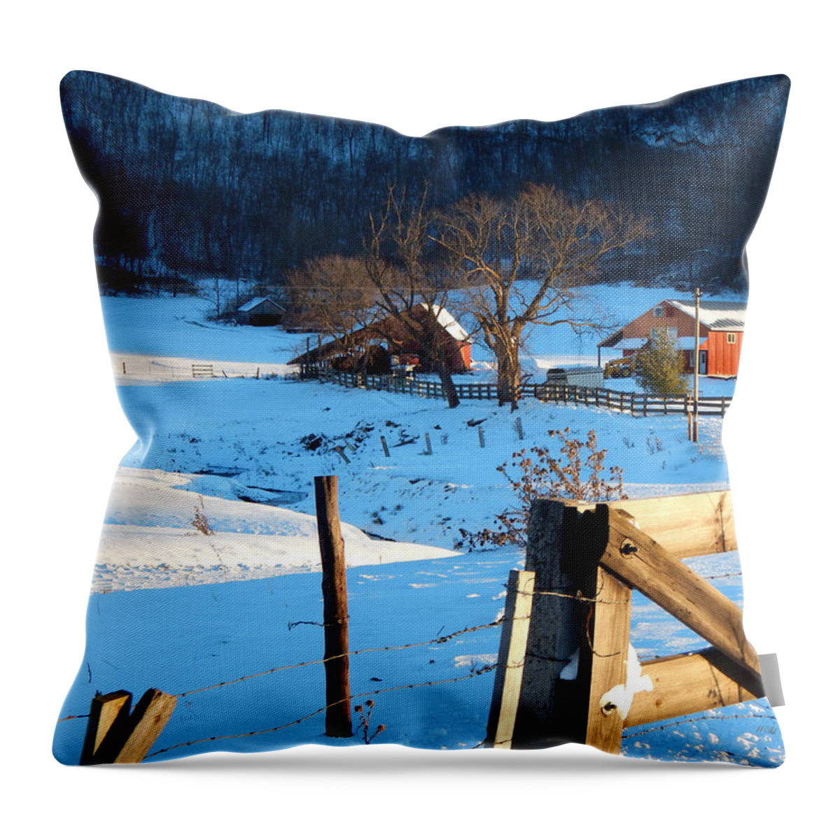 Winter Throw Pillow featuring the photograph Shadows Deep in the Valley by Wild Thing