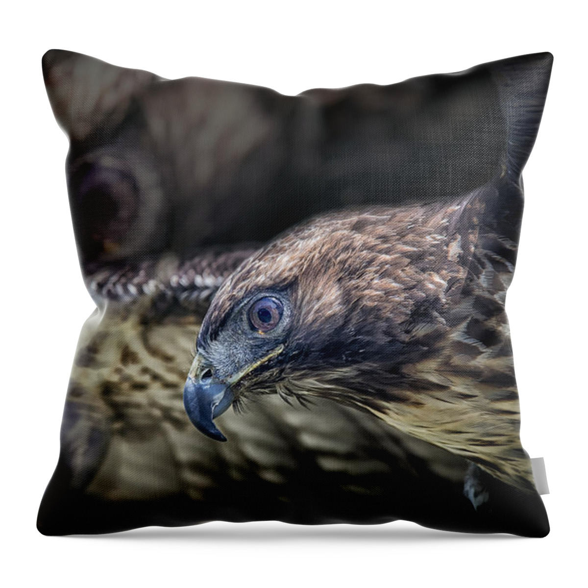 Crystal Yingling Throw Pillow featuring the photograph Shadows by Ghostwinds Photography