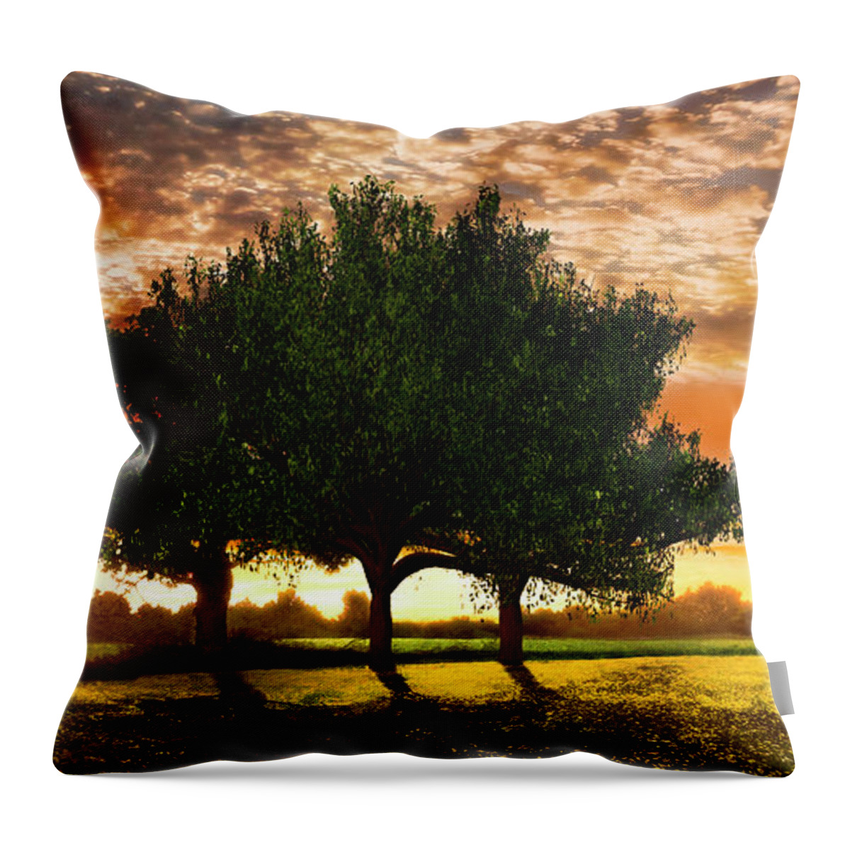 Barn Throw Pillow featuring the photograph Shadows in the Meadow Middle of the Triple by Debra and Dave Vanderlaan