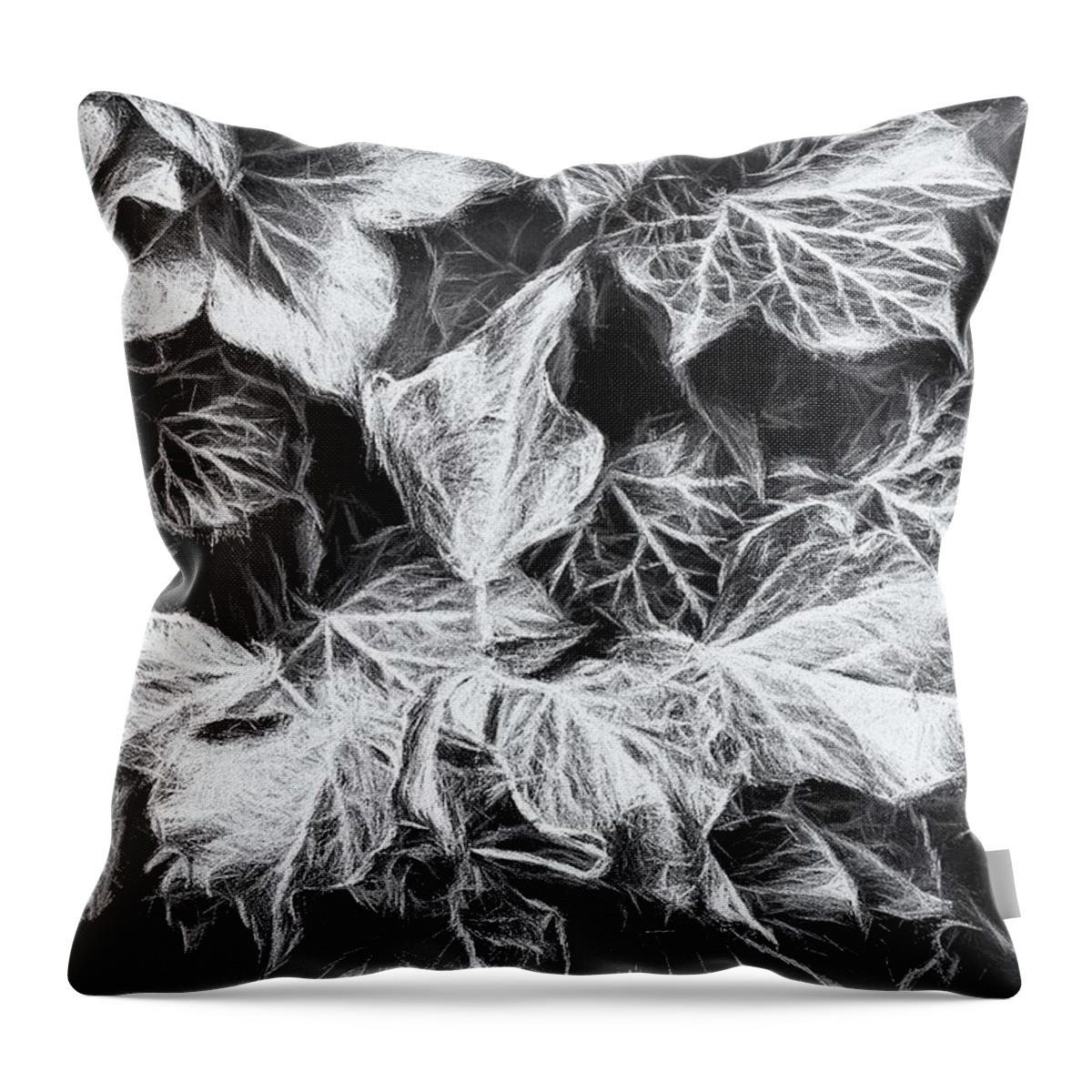 Ivy Throw Pillow featuring the photograph Shadows Of The Ivy 2 by Jaroslav Buna