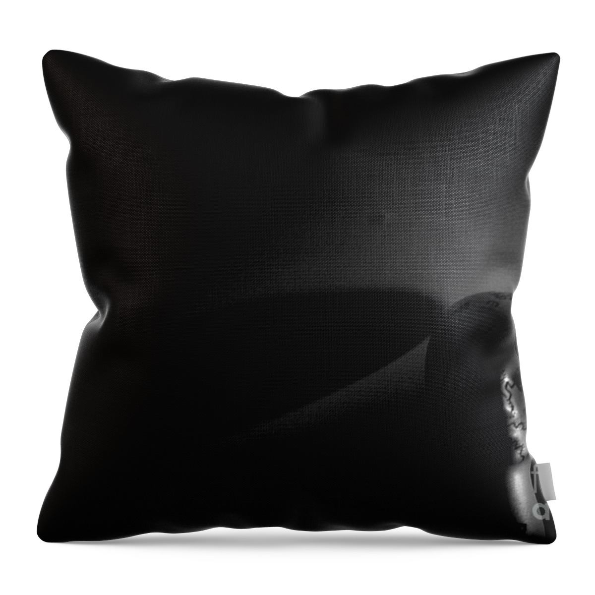 Shadows Throw Pillow featuring the photograph Shadows Of The Mind by Steven Macanka