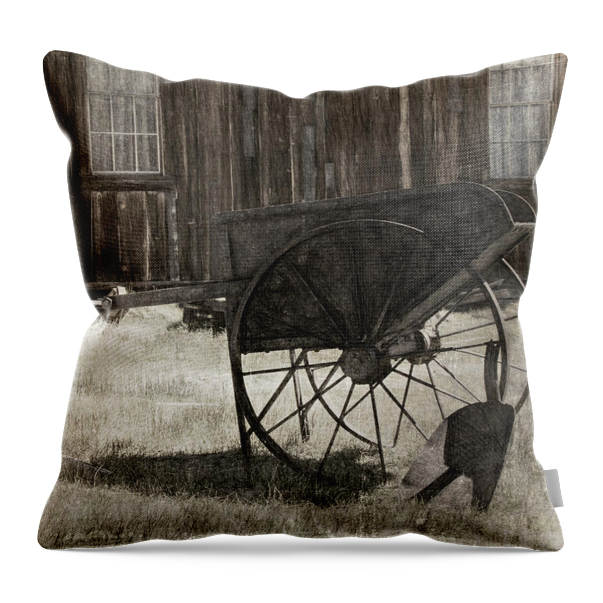 Abandoned Throw Pillow featuring the photograph Shadows of Time by Lana Trussell