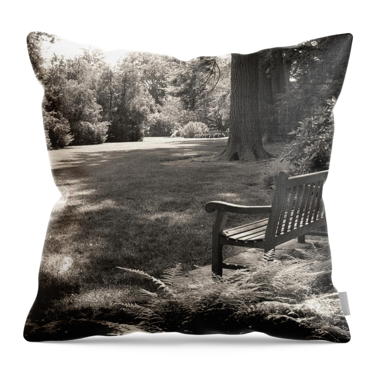 Shady Throw Pillow featuring the photograph Shady Bench by Gordon Beck
