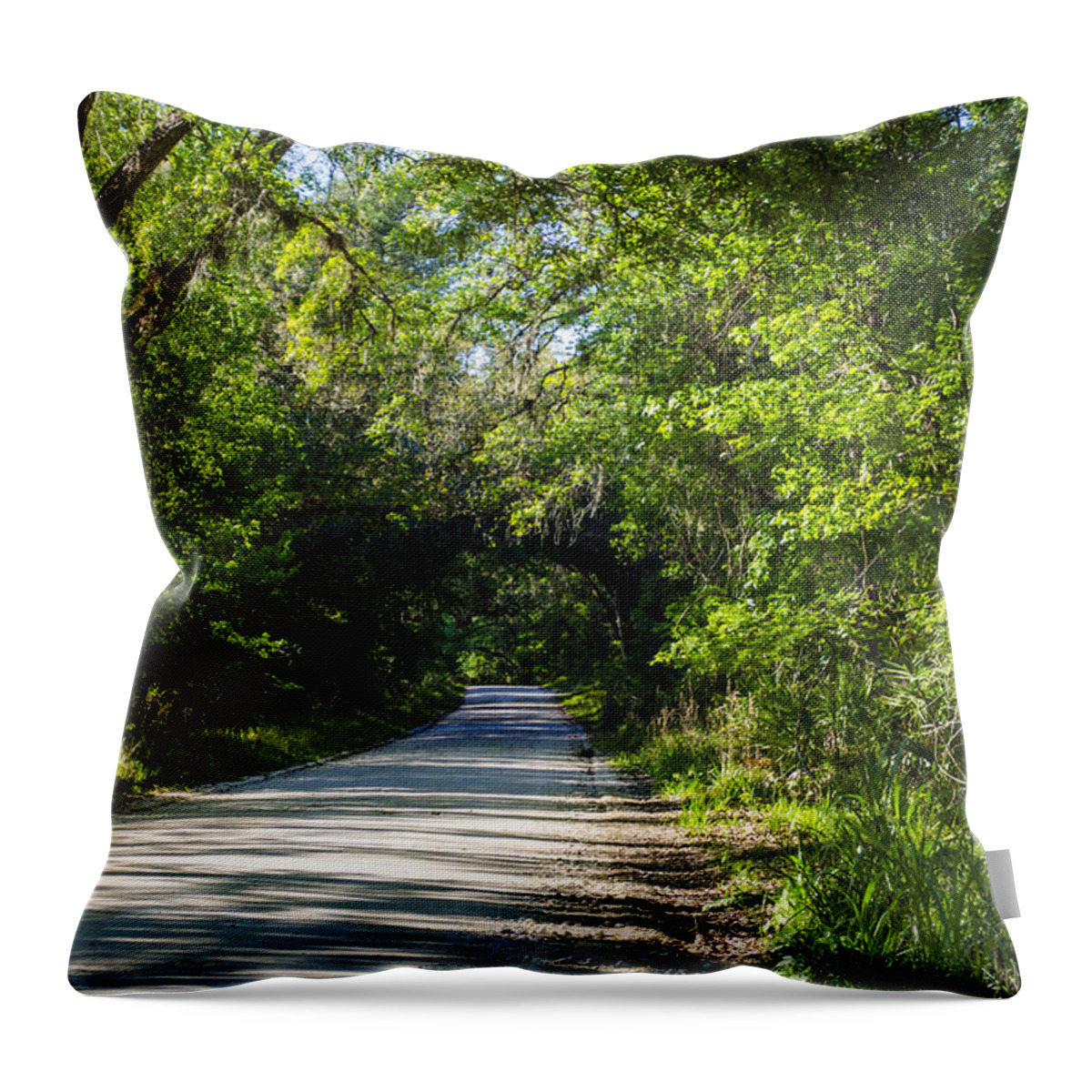Ocklawaha Throw Pillow featuring the photograph Shady Lane in Ocklawaha by Deborah Smolinske